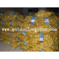 High Quality Fresh Ginger with Best Price